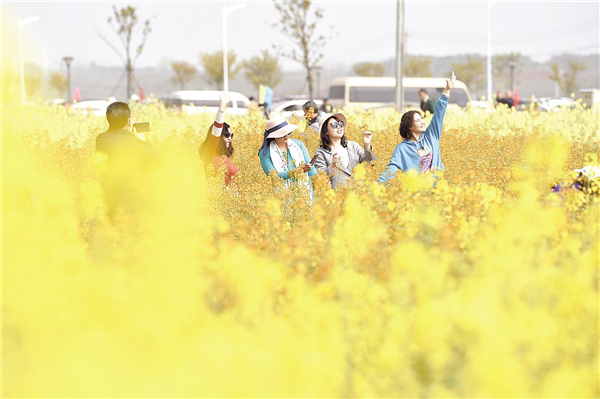 湖北首次发布“最美油菜花海”_fororder_01