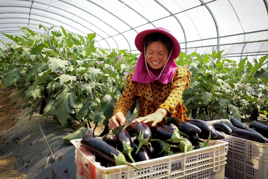 平顶山鲁山：三月芳菲 绘就乡村美丽画卷