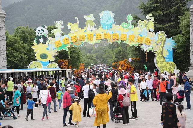 秦岭野生动物园稳居携程“全国景区热度榜”前三位