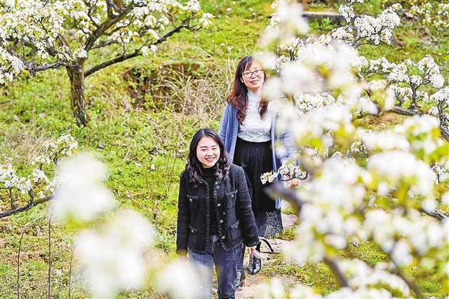 赏花游促进文旅市场强劲复苏