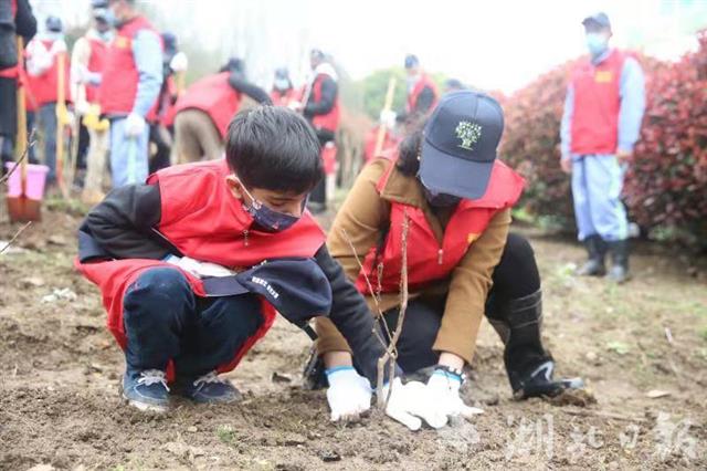 在鄂外国专家参加植树活动