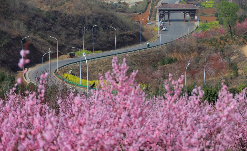 【城市远洋】洛阳嵩县：待到春花烂漫时