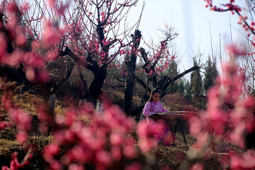 【城市远洋】洛阳嵩县：待到春花烂漫时