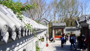 "Beijing Day" event held at Int'l Horticultural Exhibition 2019 Beijing