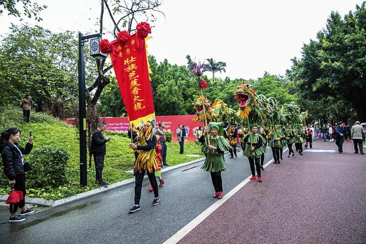 南宁青秀区：舞动“芭蕉香火龙” 延续“传统”生命力