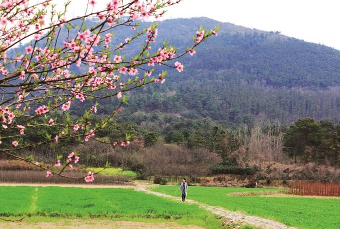 江苏茅山：打造文旅强极 建设美丽福地