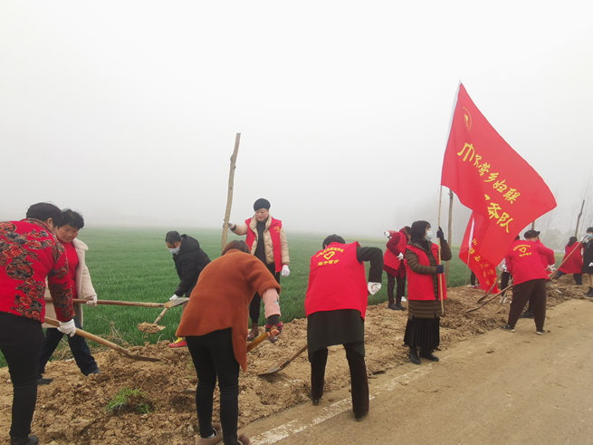 平顶山市鲁山县磙子营乡：凝聚“她力量” 奏响“她强音”