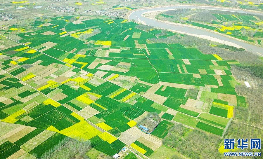 信阳市罗山县：锦绣大地春意浓