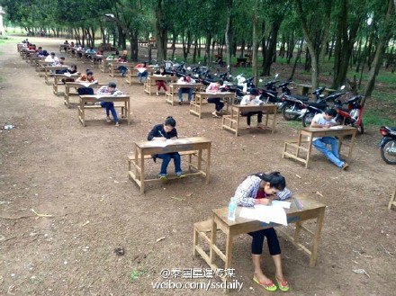 缅甸老师为防学生抄袭 安排在树林里考试（组图）