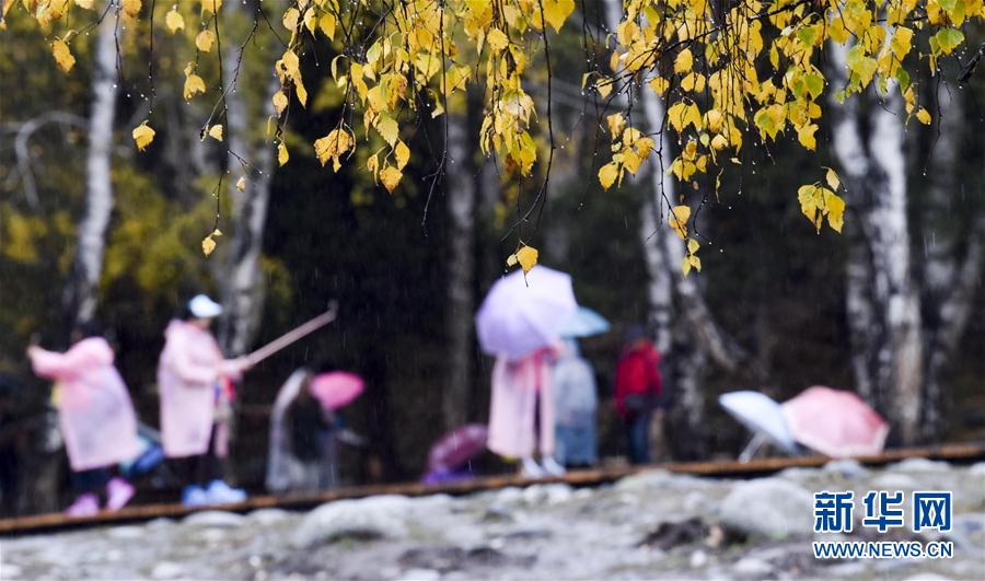 新疆禾木：雨中仙境