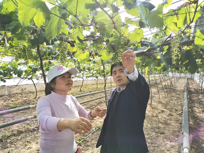 脱贫路上的县委书记 啃下最后硬骨头 小康路上阔步行 ——访临渭区委书记刘宝琳