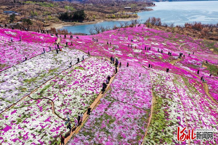 河北迁西：假日漫步雨花谷