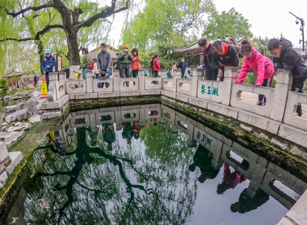 【原创】清明假期期间济南文旅集团旗下景区及场馆纳客60.48万人次_fororder_图片 3