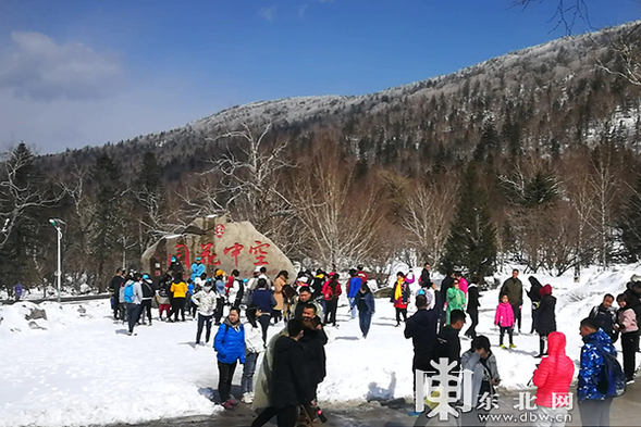 看国宝赏春雪喂麋鹿 “五一”假期龙江森工集团各景区待客忙