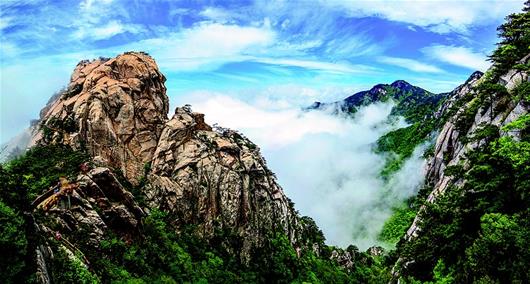 诗和远方 汇聚大别山