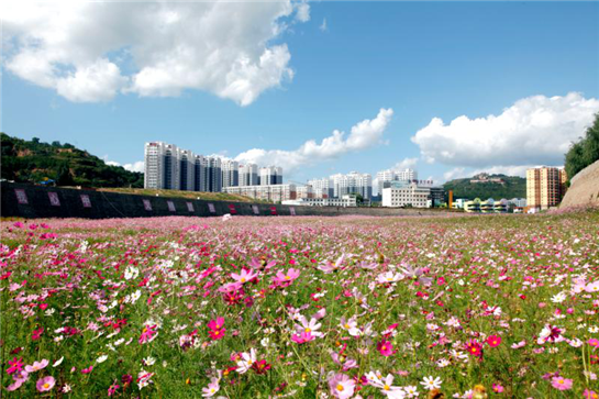 【加急】延安市富县获评“陕西省2018年度县城建设先进县”