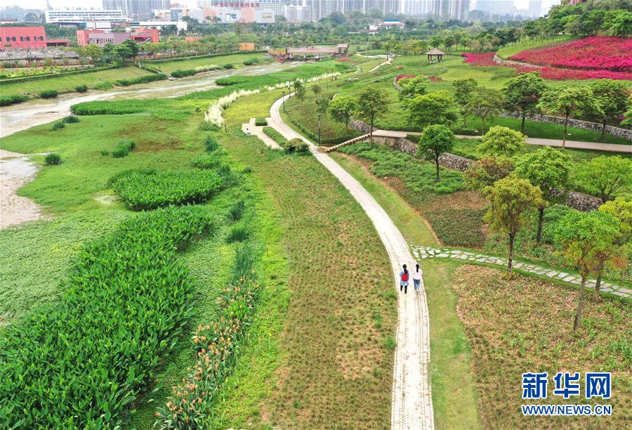 春来湿地斗芳菲