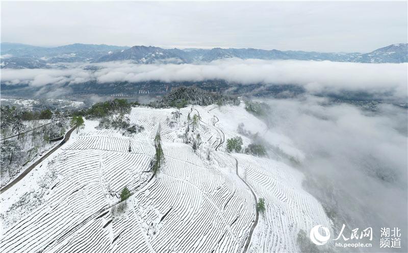 组图：湖北保康 春雪如画