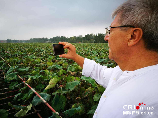 德国大Ｖ手记：原来荷花也可以扶贫