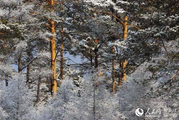 “中国爱情小镇”大兴安岭新林迎来浪漫飘雪