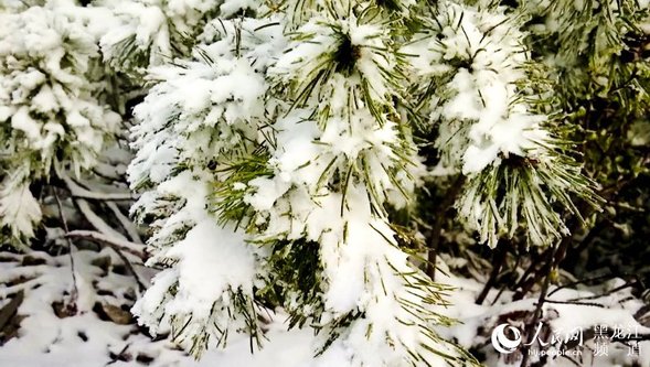 “中国爱情小镇”大兴安岭新林迎来浪漫飘雪