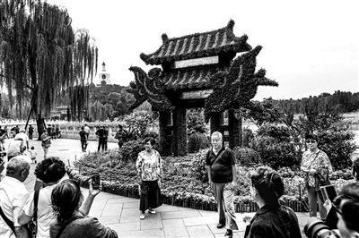 北京北海花坛添雨燕 独特京味祝吉祥