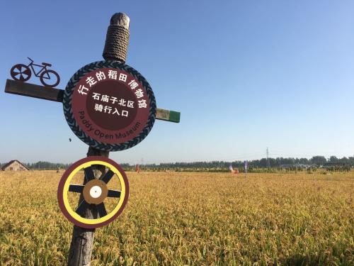 盘锦大洼：发展乡村旅游 打造稻耕乐园