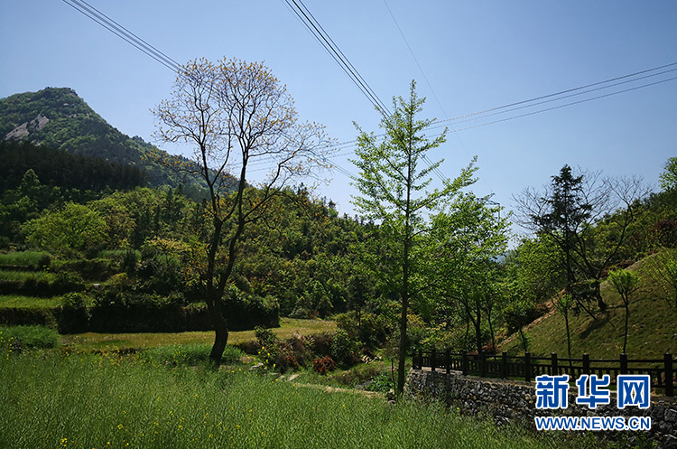 长岭关村：两朵花辉映脱贫路