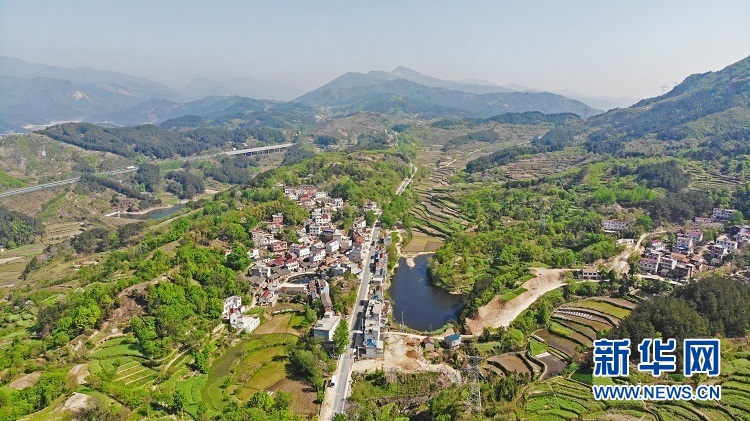 长岭关村：两朵花辉映脱贫路