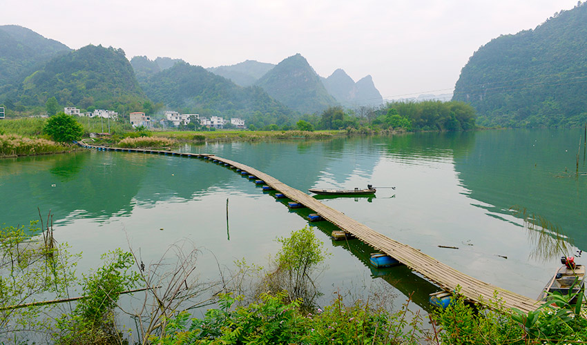 广西巴马：盘阳河畔好春光