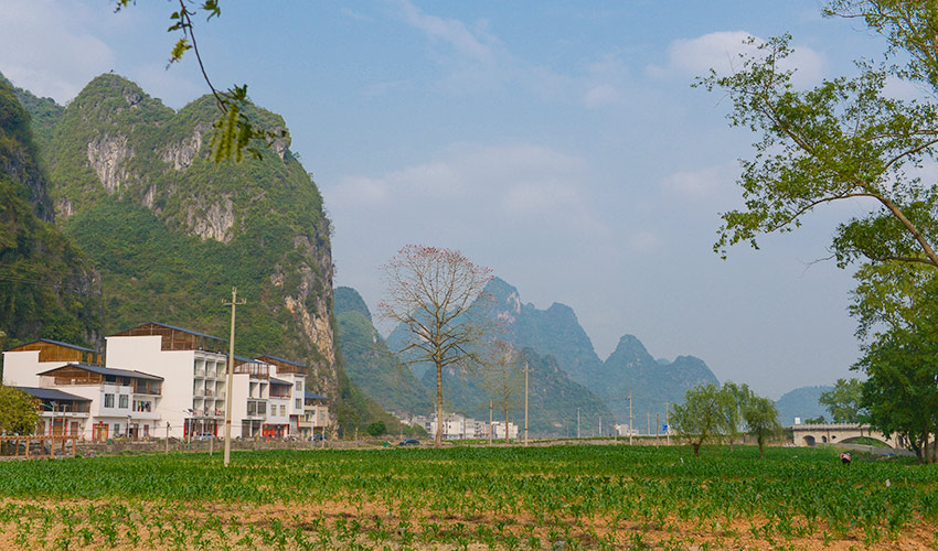 广西巴马：盘阳河畔好春光