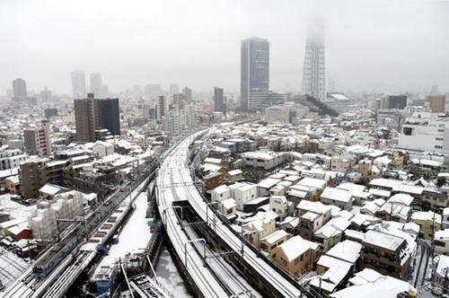 日本关东地区强降雪致204人伤 恶劣天气或持续