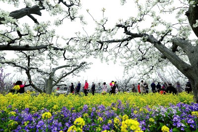 农旅融合助力乡村振兴