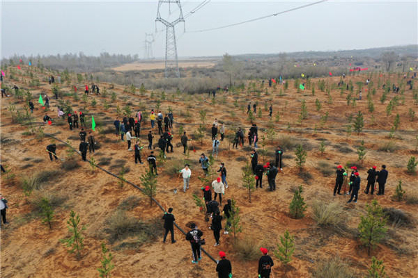 陕西定边县400余名机关干部职工参加义务植树_fororder_图片103