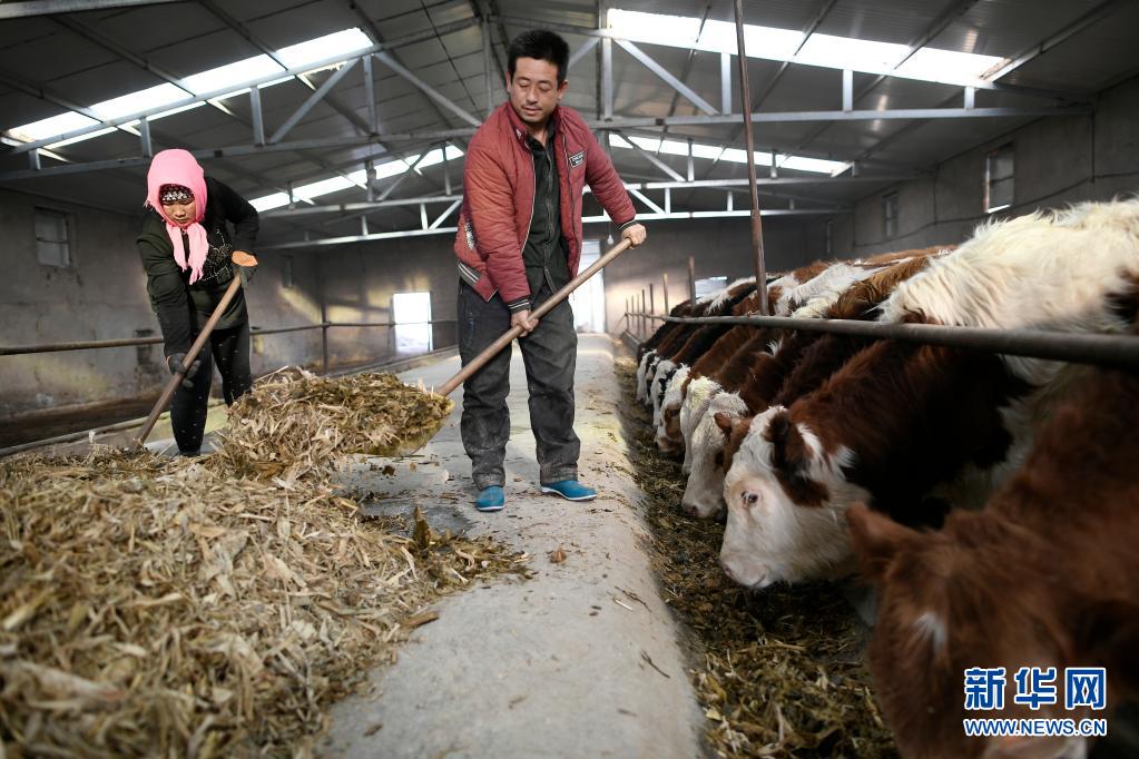 兑现庄严承诺 铸就历史伟业——从《人类减贫的中国实践》白皮书看中国脱贫攻坚伟大历程