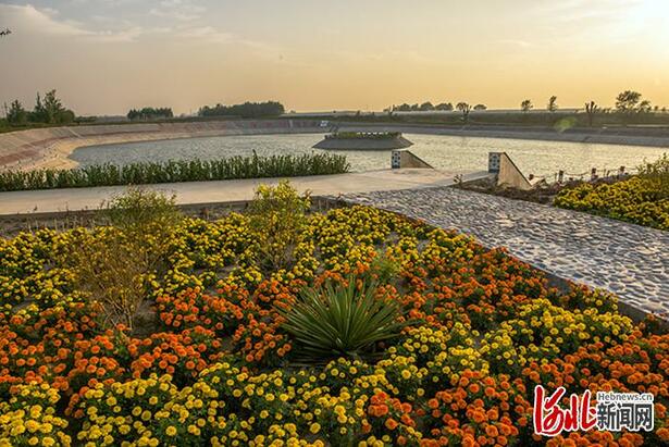 不负繁花不负春！河北这59条“春观花”休闲农业线路邀您来打卡