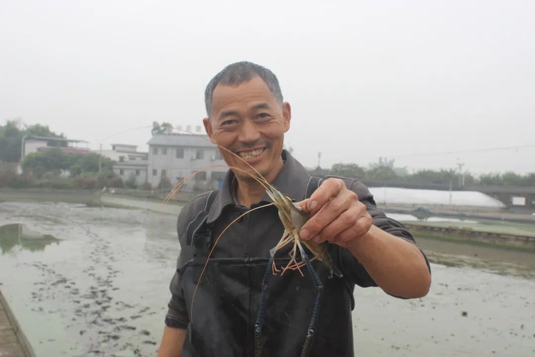 台企特色水产养殖 助力泸县乡村建设