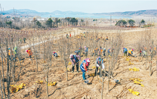 沈阳：以绿荫城 植树添彩_fororder_1617931973(1)