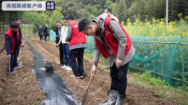 苏陕协作结对帮扶 科技特派员“传经送宝”到田头