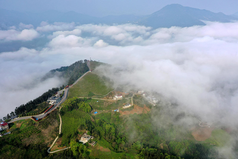 湖北保康：云雾绕青山 田园入画来