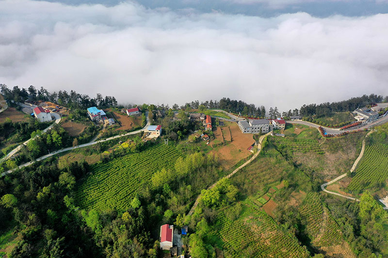 湖北保康：云雾绕青山 田园入画来