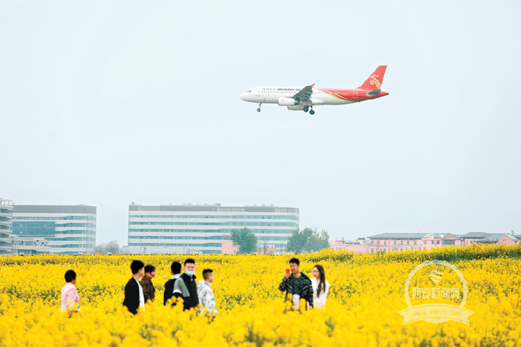 （转载）西咸新区空港新城首届油菜花节开幕 8场主题活动等你来“打卡”_fororder_f48e38a3861121db3a812b