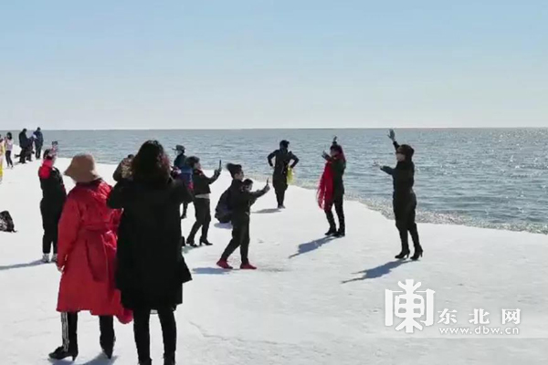 候鸟回归“打卡” 鸡西市兴凯湖观鸟节举办