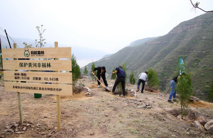 保护黄河生态：全国网友“手机种树”超6万棵落地陕西延安_fororder_51