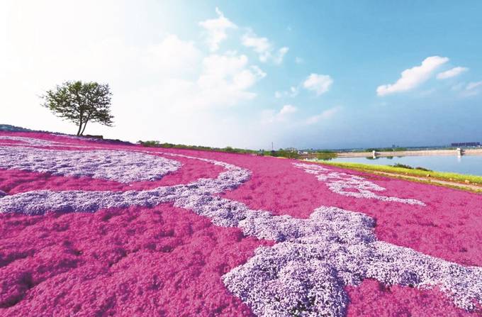 江苏省句容市：山水田园福地 宜居宜游名城