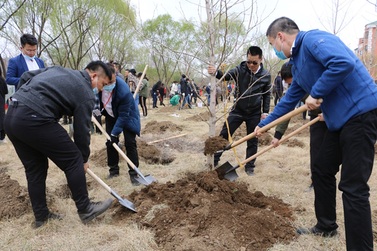 （平安产险）平安产险辽宁分公司党委开展义务植树活动