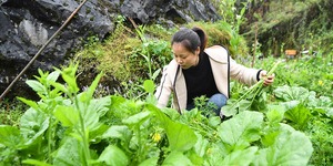 【签山城故事】重庆：犟媳妇深山扎根记