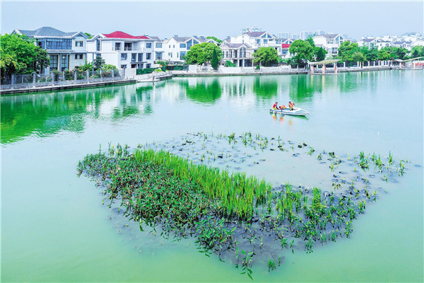 武汉南湖片区海绵城市项目抓紧施工_fororder_01