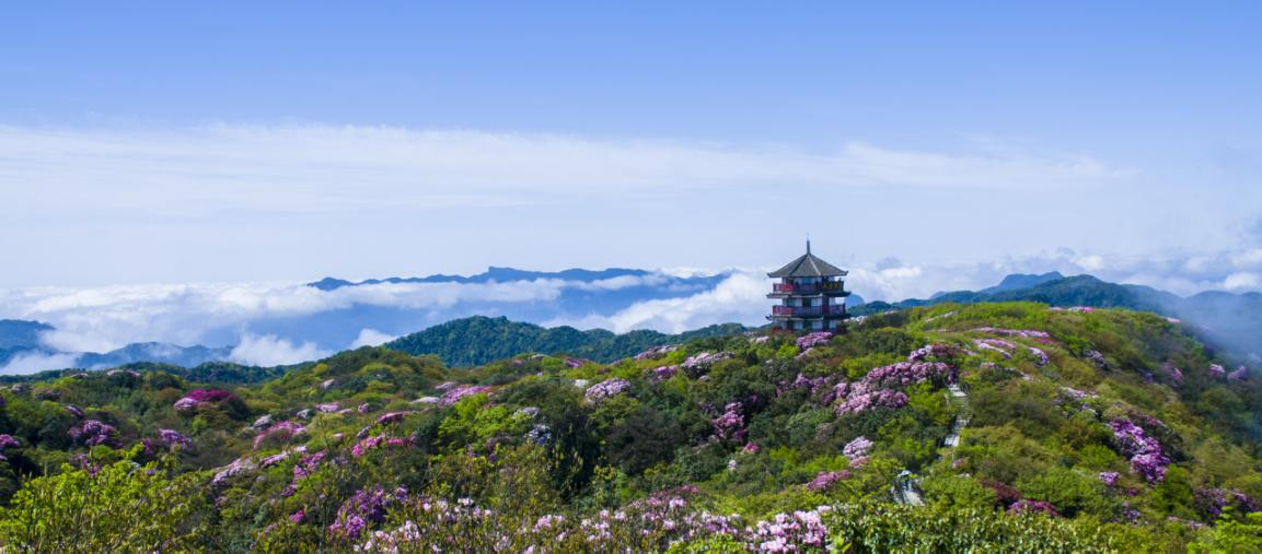 【B】重庆南川：第十二届金佛山国际旅游文化节暨杜鹃花节开幕_fororder_图片3