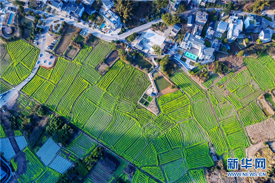 寻芳桂林阳朔 无边春景一时新